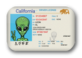 California Alien Driver License
